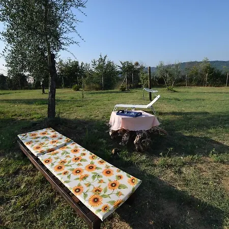 Il Casaletto Di Eirene Giove